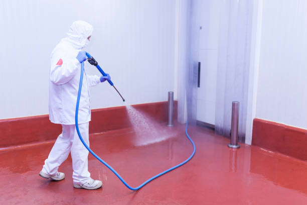 Professional Pressure Washing Services in Highland, AR